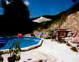 BergeriePool1_235x340 BergeriePool1_235x340